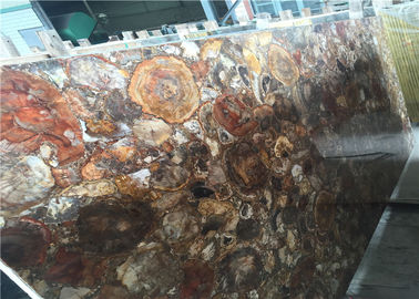 Chiny Kamienie półszlachetne ze skamieniałego drewna Gładka powierzchnia Dostosowane cięcie dostawca