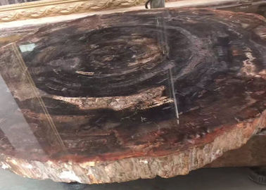 Chiny Polerowane brązowe naturalne półszlachetne płyty kamienne skamieniałego drewna dostawca