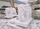 White Jade Marble Lion Sculpture, Stone Animal Sculptures Dostosowany kolor dostawca