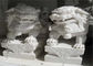 White Jade Marble Lion Sculpture, Stone Animal Sculptures Dostosowany kolor dostawca
